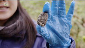 Person holding owl pellet up to camera.